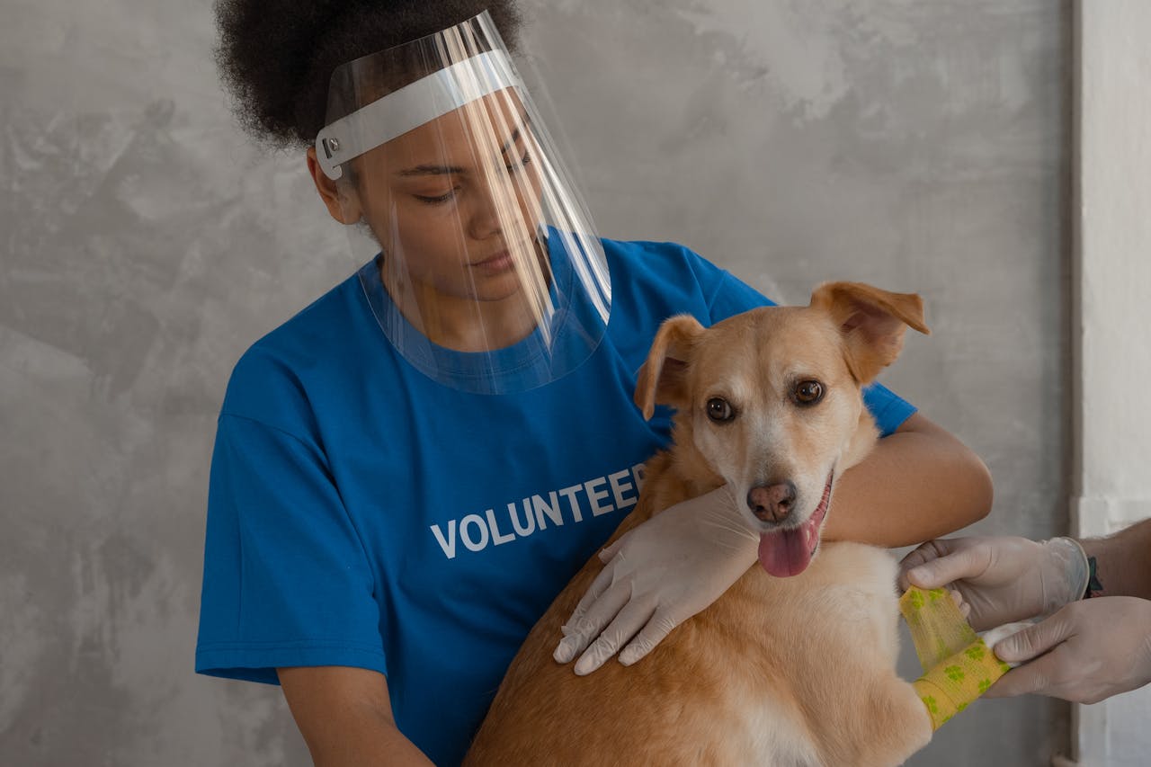 Volunteer holding dog